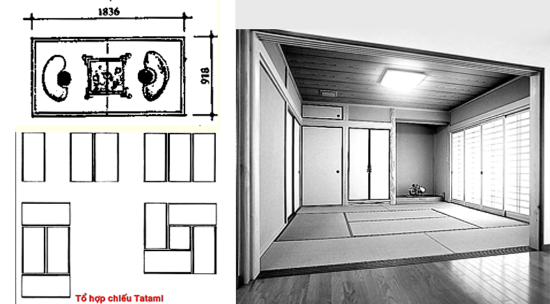 donvido-tatami-hochanhkientruc.art